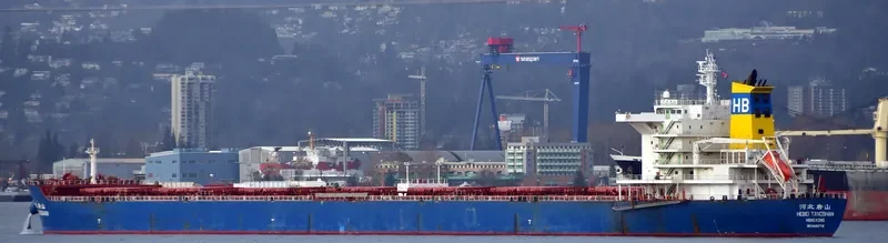 HEBEI TANGSHAN Bulk Carrier IMO 9482718 photo 6