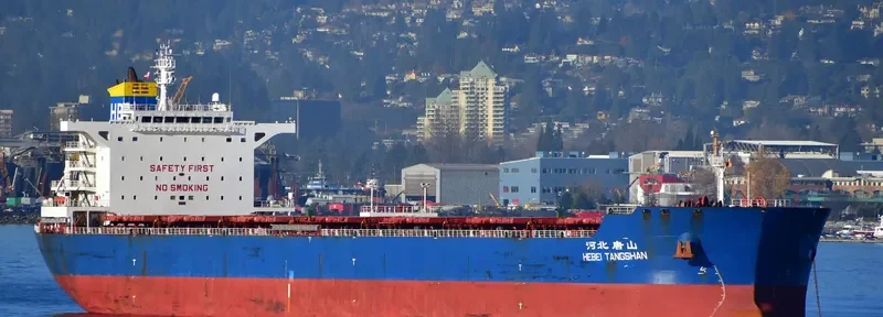 HEBEI TANGSHAN Bulk Carrier IMO 9482718 photo 9