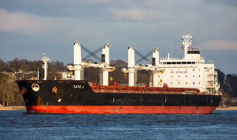 TATE J Bulk Carrier IMO 9482770 photo 3