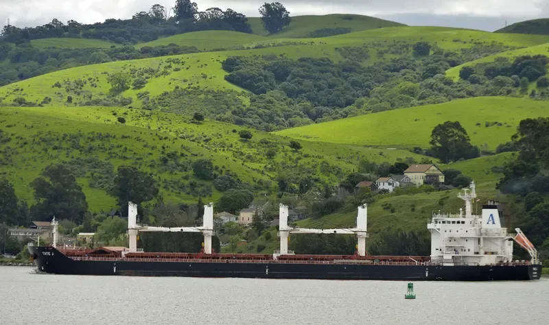 TATE J Bulk Carrier IMO 9482770 photo 4