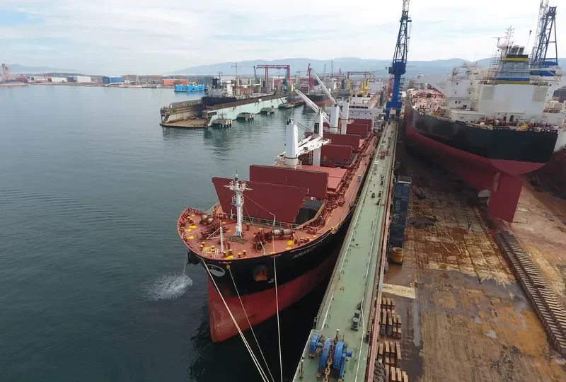 AMANDA C Bulk Carrier IMO 9482782 photo 5