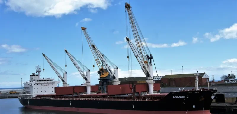 AMANDA C Bulk Carrier IMO 9482782 photo 8