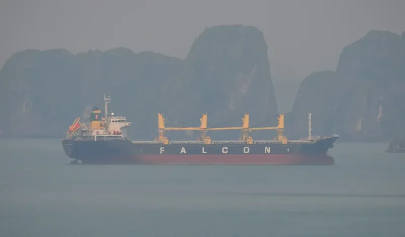 VISSAI VCT 05 Bulk Carrier IMO 9482811 photo 2