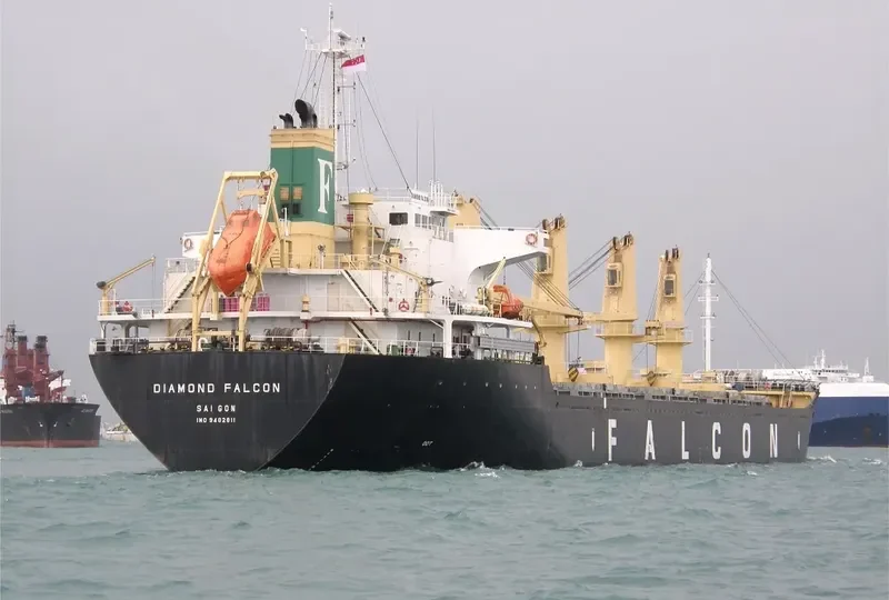 VISSAI VCT 05 Bulk Carrier IMO 9482811 photo 3