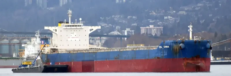 KSL CHINA Bulk Carrier IMO 9483138 photo 2