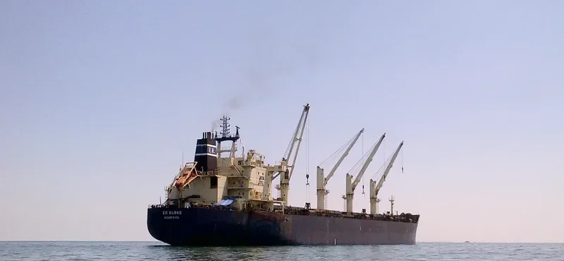 YANGTZE QUANTUM Bulk Carrier IMO 9483205