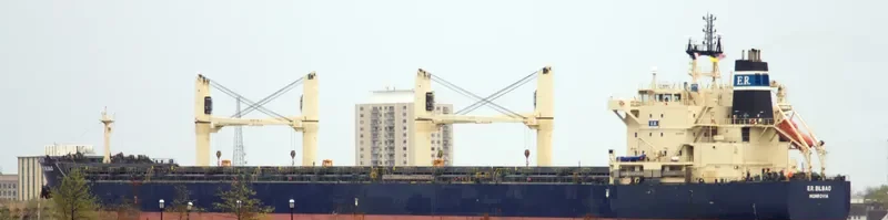 YANGTZE QUANTUM Bulk Carrier IMO 9483205 photo 8