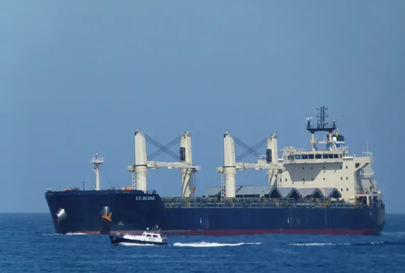YANGTZE QUANTUM Bulk Carrier IMO 9483205 photo 10
