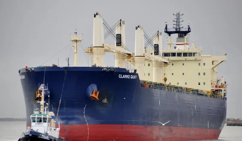 CLARKE QUAY Bulk Carrier IMO 9483231 photo 3