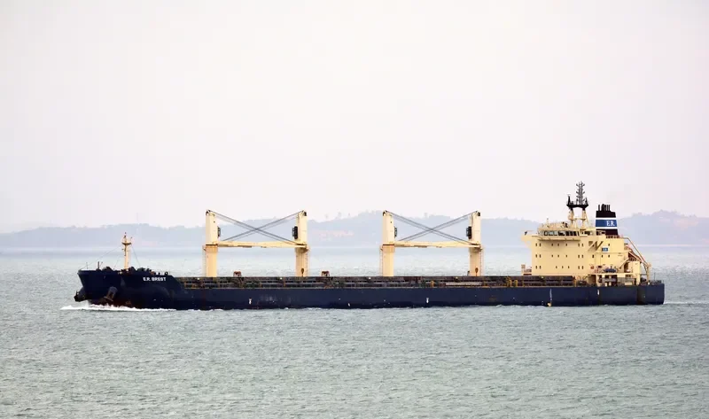CLARKE QUAY Bulk Carrier IMO 9483231 photo 9