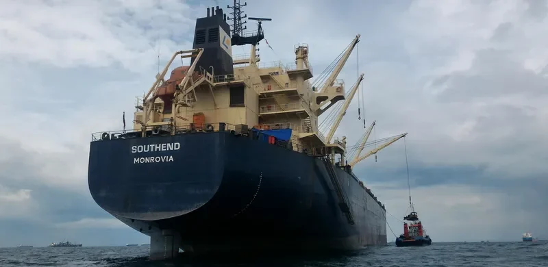 INGENIOUS Bulk Carrier IMO 9483243