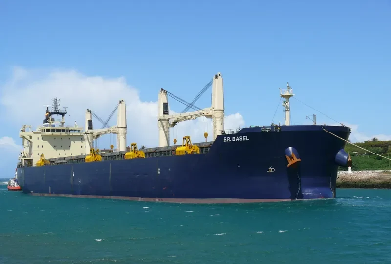 INGENIOUS Bulk Carrier IMO 9483243 photo 6