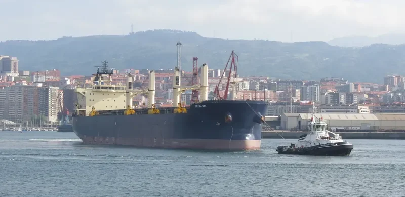 INGENIOUS Bulk Carrier IMO 9483243 photo 7