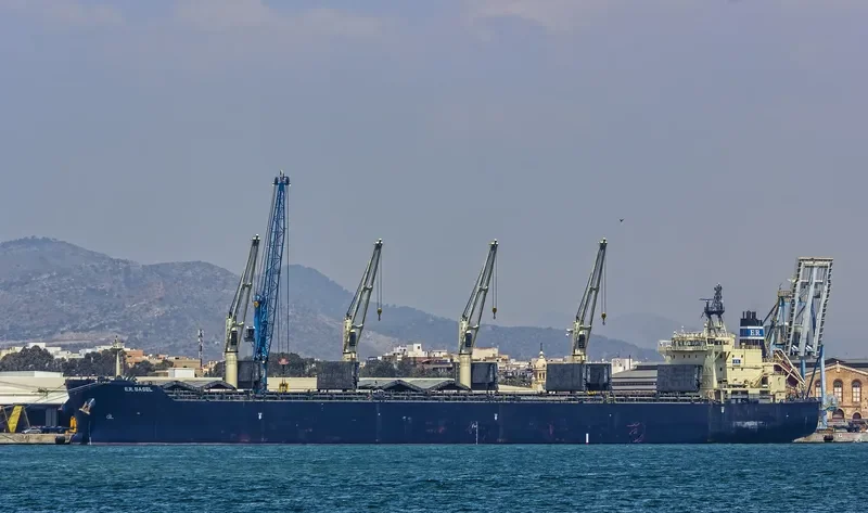 INGENIOUS Bulk Carrier IMO 9483243 photo 9
