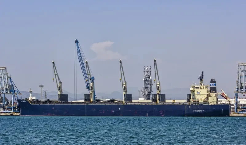 INGENIOUS Bulk Carrier IMO 9483243 photo 10