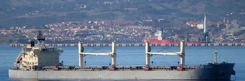 DISCOVERY Bulk Carrier IMO 9483255