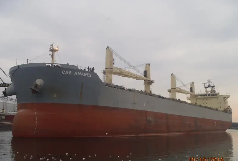 DISCOVERY Bulk Carrier IMO 9483255 photo 5