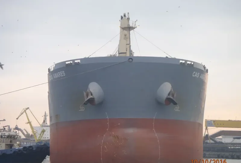 DISCOVERY Bulk Carrier IMO 9483255 photo 6