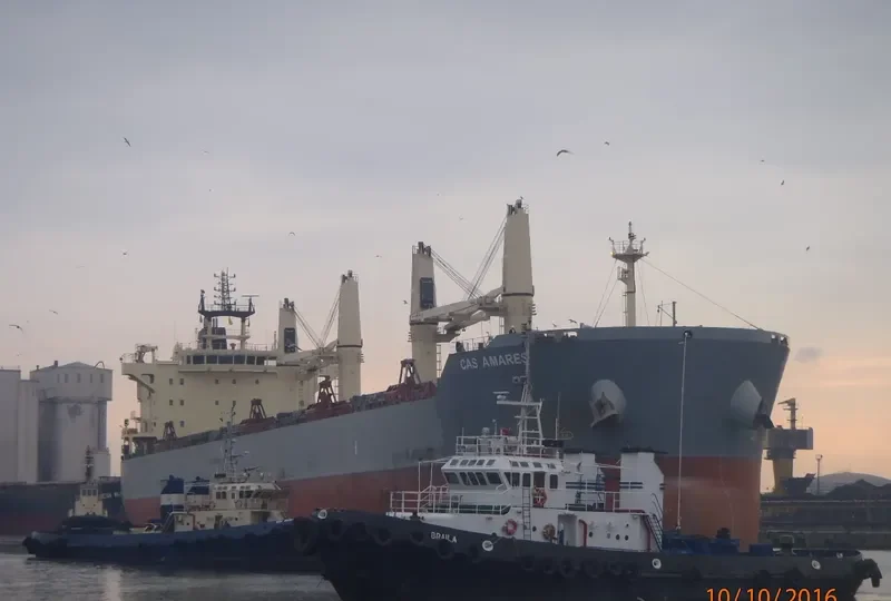 DISCOVERY Bulk Carrier IMO 9483255 photo 7