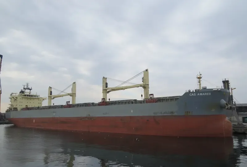 DISCOVERY Bulk Carrier IMO 9483255 photo 8