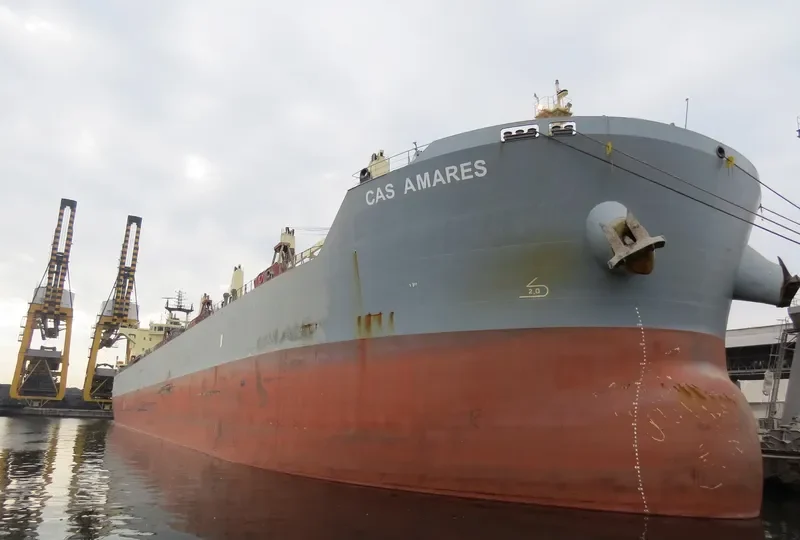 DISCOVERY Bulk Carrier IMO 9483255 photo 9