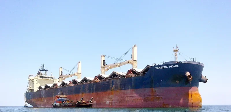 VENTURE PEARL Bulk Carrier IMO 9483279
