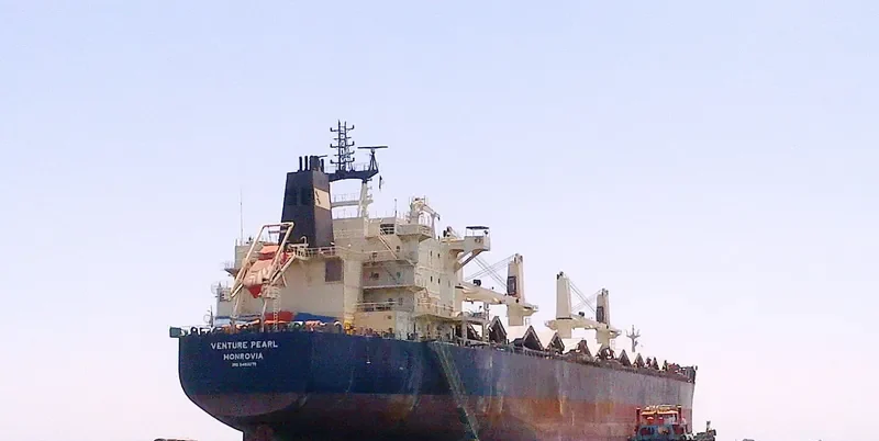 VENTURE PEARL Bulk Carrier IMO 9483279 photo 2