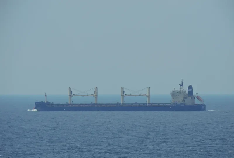 VENTURE PEARL Bulk Carrier IMO 9483279 photo 8