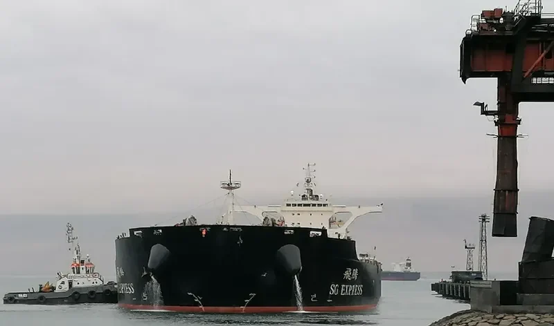 SG EXPRESS Bulk Carrier IMO 9483310 photo 6