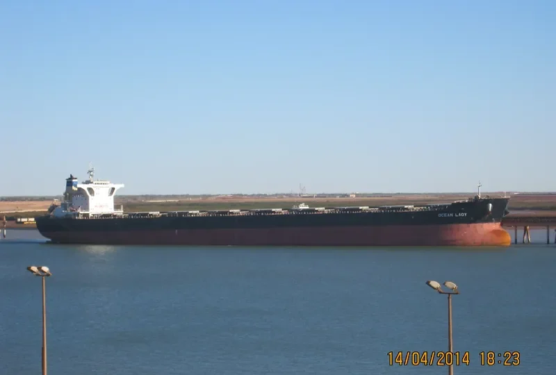 OCEAN LADY Bulk Carrier IMO 9483322 photo 2