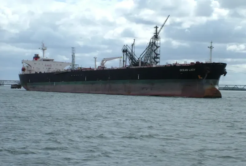 OCEAN LADY Bulk Carrier IMO 9483322 photo 3