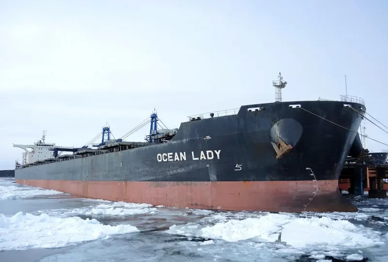OCEAN LADY Bulk Carrier IMO 9483322 photo 5