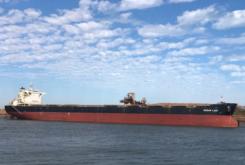 OCEAN LADY Bulk Carrier IMO 9483322 photo 6