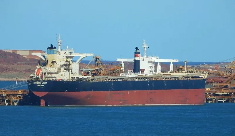 OCEAN LADY Bulk Carrier IMO 9483322 photo 7