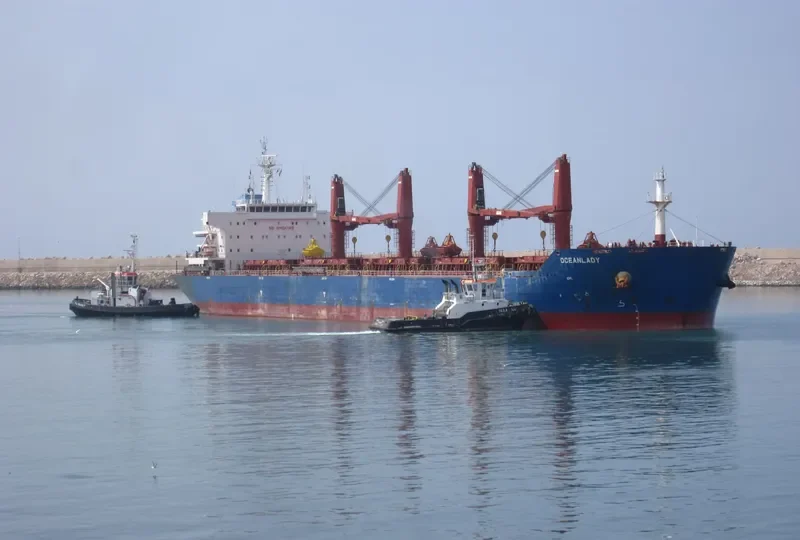 OCEAN LADY Bulk Carrier IMO 9483322 photo 9