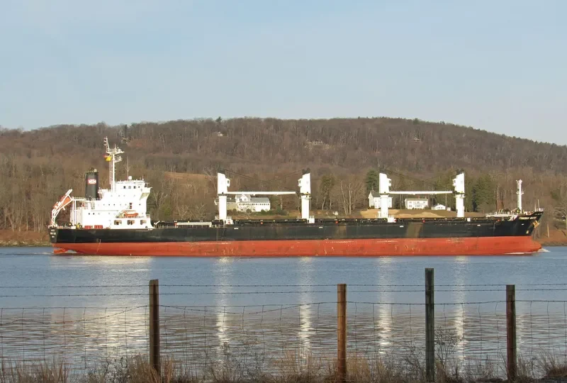 OCCITAN PAUILLAC Bulk Carrier IMO 9483451 photo 5
