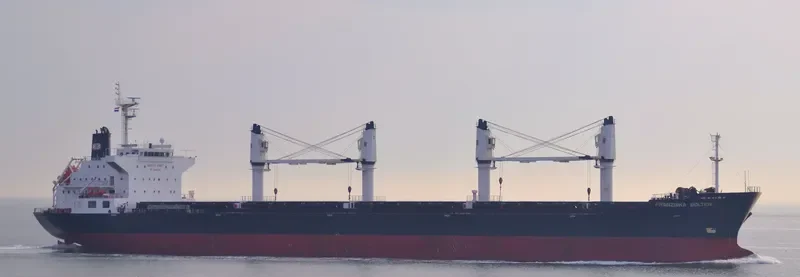 OCCITAN PAUILLAC Bulk Carrier IMO 9483451 photo 8