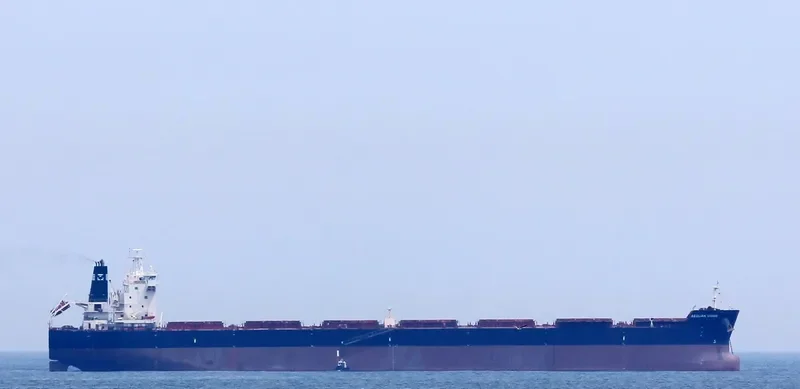 AEOLIAN VISION Bulk Carrier IMO 9483554 photo 2