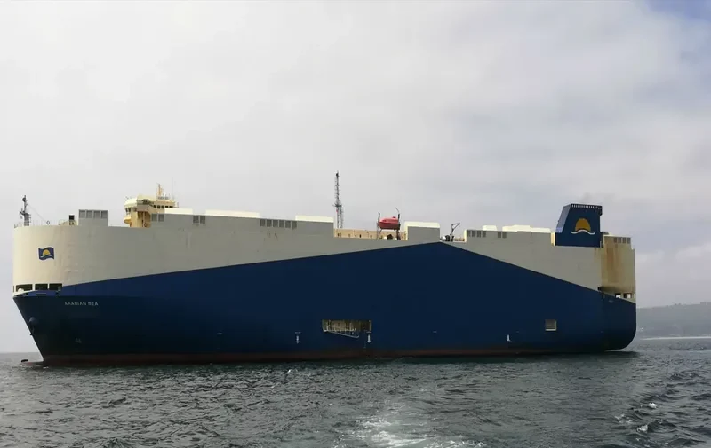 ARABIAN SEA General Cargo IMO 9483786 photo 266