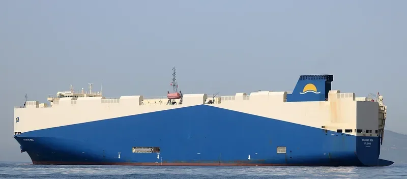 ARABIAN SEA General Cargo IMO 9483786 photo 799