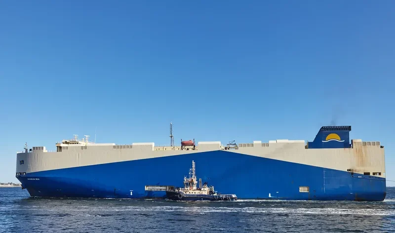 ARABIAN SEA General Cargo IMO 9483786 photo 1265