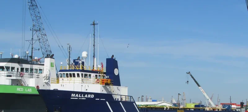 MALLARD Offshore Vessel IMO 9483815