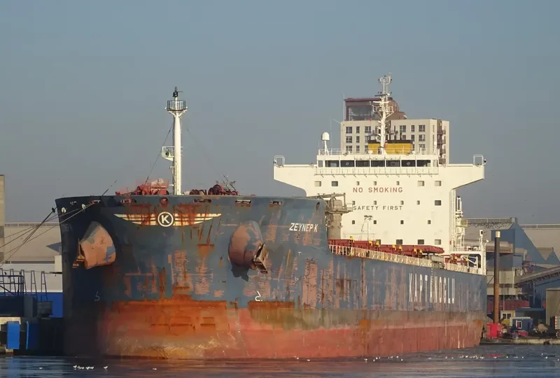 GLOBE ELECTRA Bulk Carrier IMO 9483827 photo 2