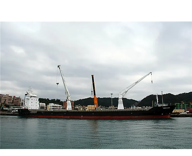 UNISTREAM General Cargo IMO 9484235 photo 9