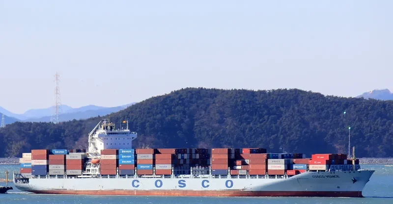COSCO VENICE Container Ship IMO 9484405 photo 6