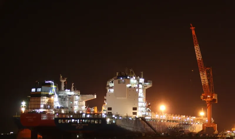 COSCO WELLINGTON Container Ship IMO 9484417 photo 5