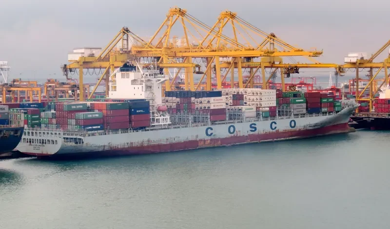 COSCO WELLINGTON Container Ship IMO 9484417 photo 6
