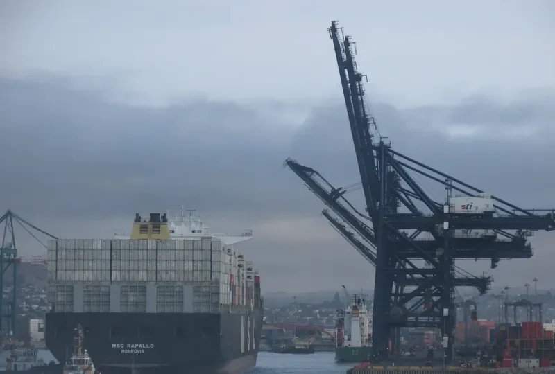 MSC RAPALLO Container Ship IMO 9484455
