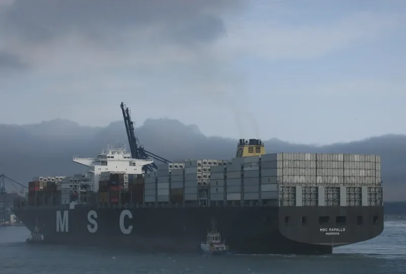 MSC RAPALLO Container Ship IMO 9484455 photo 2