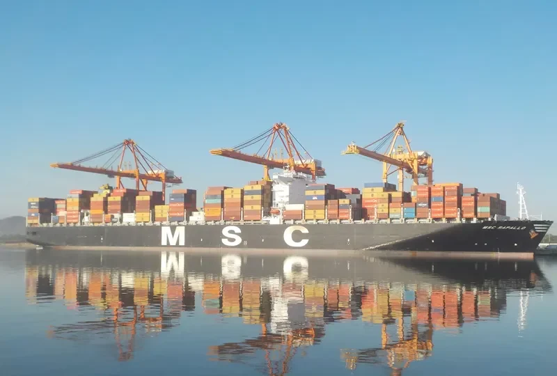 MSC RAPALLO Container Ship IMO 9484455 photo 9